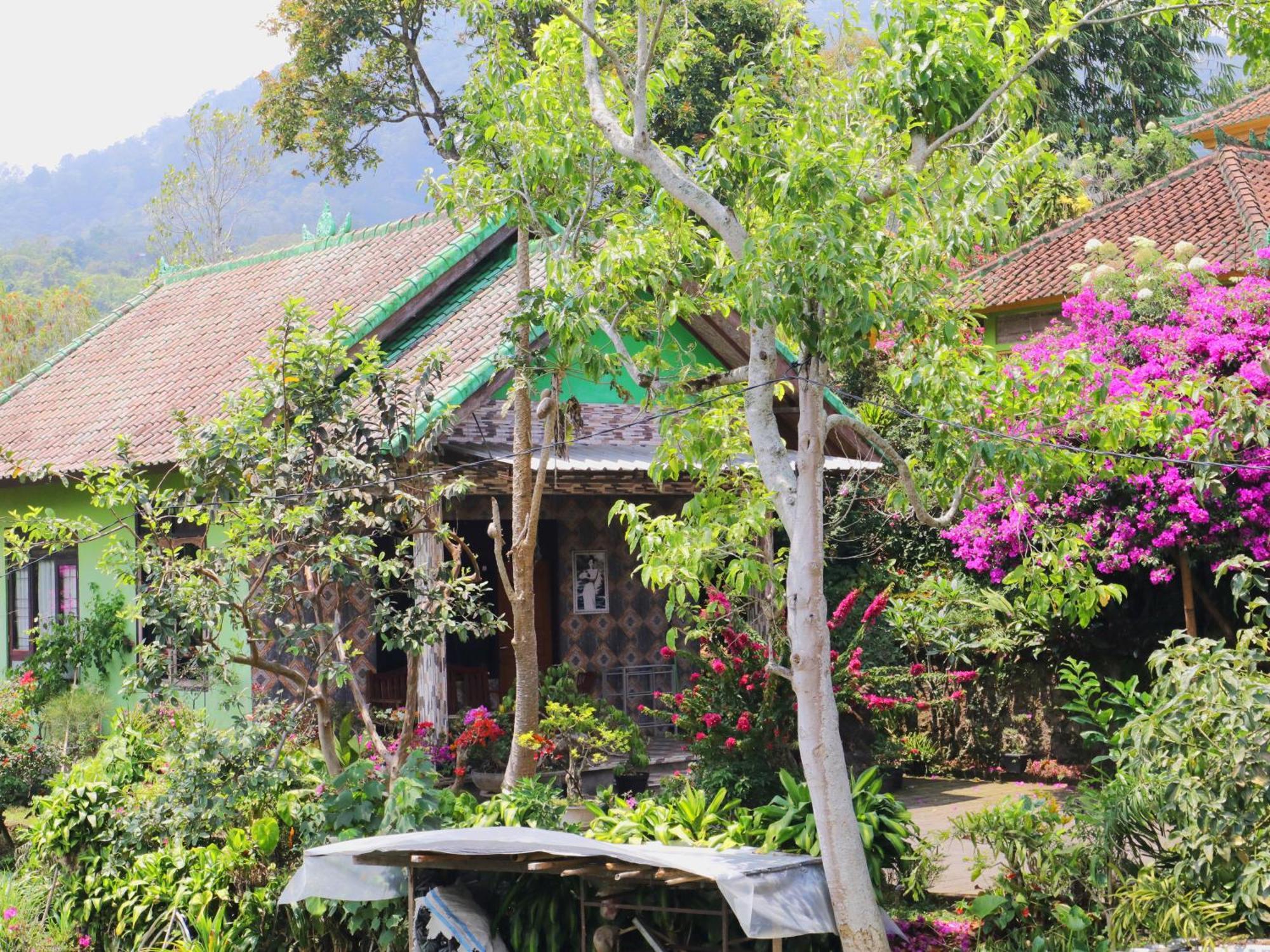 Dajan Buyan Homestay Bedugul  Exteriör bild