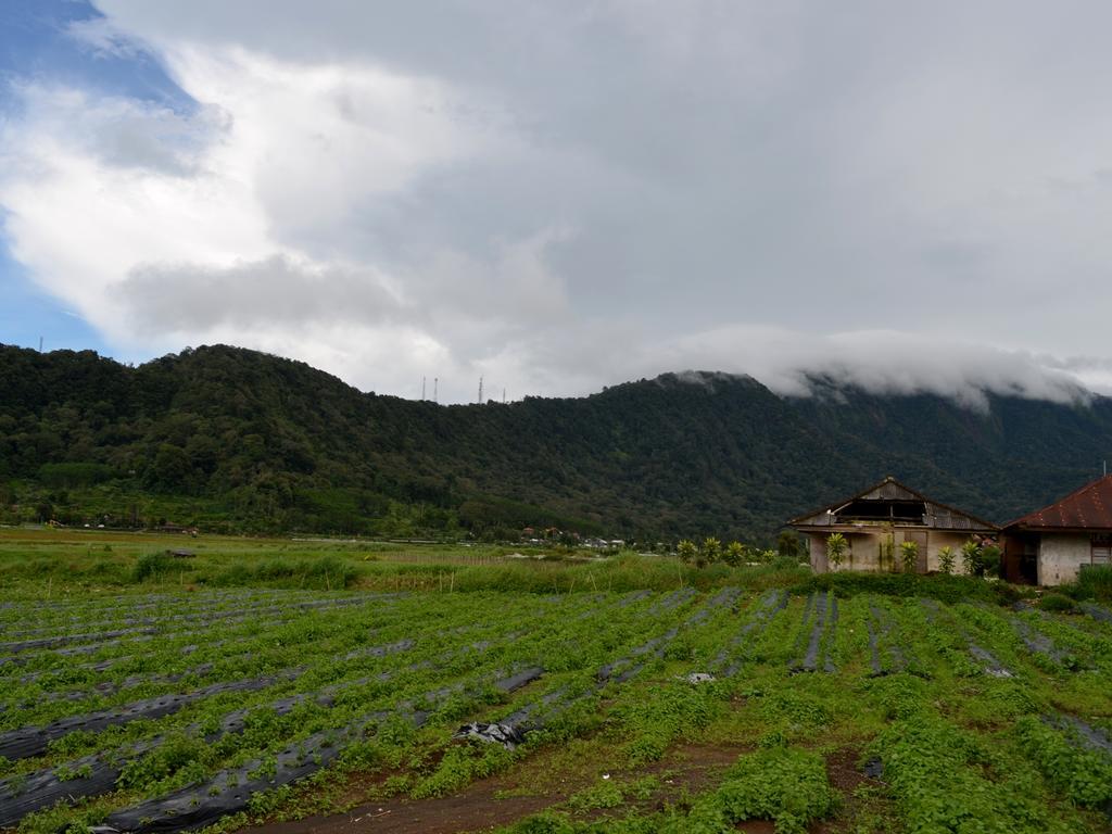 Dajan Buyan Homestay Bedugul  Exteriör bild